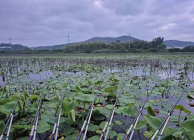 20260614_052014.jpg
