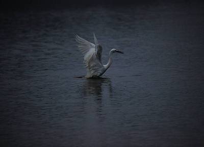 IMG_8764.JPG