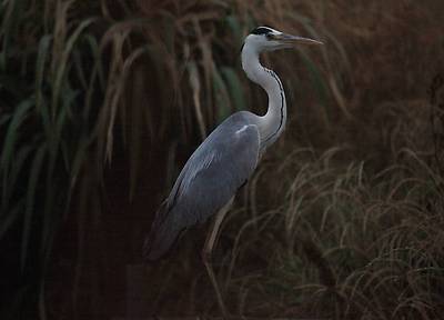 IMG_8776.JPG