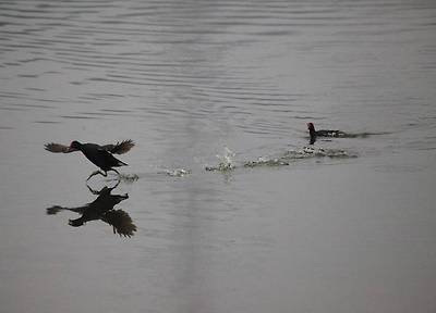 IMG_8825.JPG