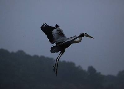 IMG_8771.JPG