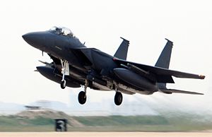 300px-F-15K_ROKAF_takes_off_from_Kunsan_AB_2009.jpg