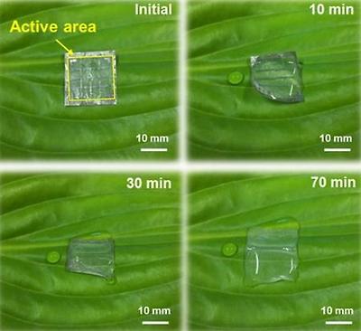 쌀종이 기판 상에 제작된 포도당 메모리 소자의 분해 결과 ⓒ 과학기술정보통신부