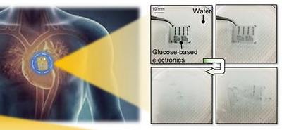 이식형 헬스케어 기기 적용을 위한 생분해성 검증 실험 ⓒ 과학기술정보통신부