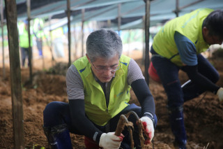 수해피해 농가 봉사활동에 참여한 농협생명 임직원.[사진=농협생명]