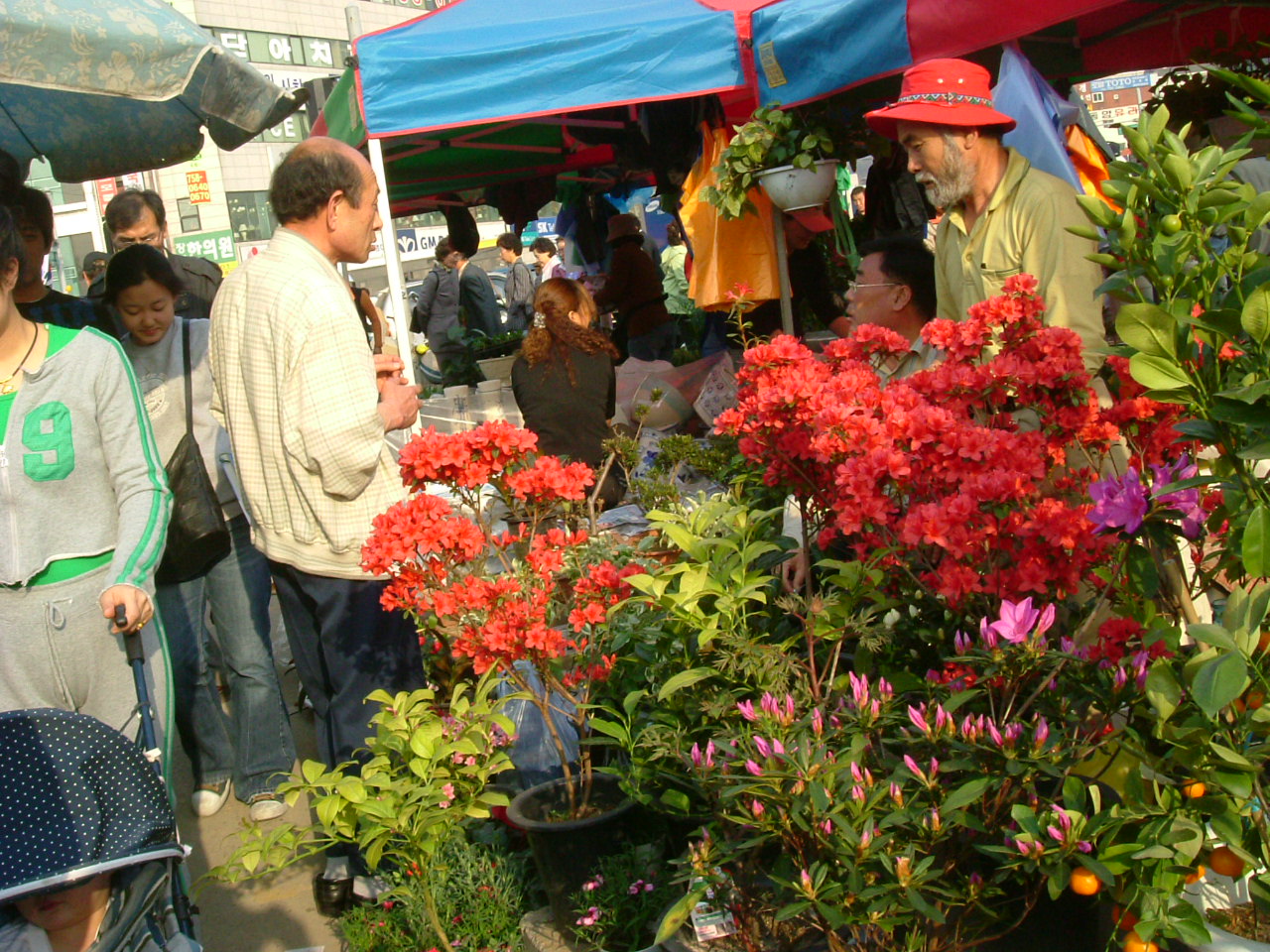 DSCF3057.JPG