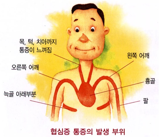 자연정혈요법 이미지