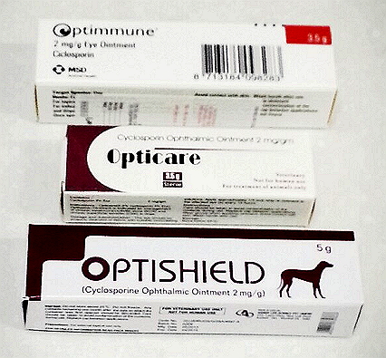 옵티뮨 옵티쉴드.jpg : 동물용 안약과 관련한 동물약국 이용 방법 옵티뮨 옵티쉴드.jpg : 동물용 안약과 관련한 동물약국 이용 방법