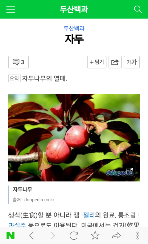 (★박공★님 궁금증) 매실 살구 자두 구별법...?