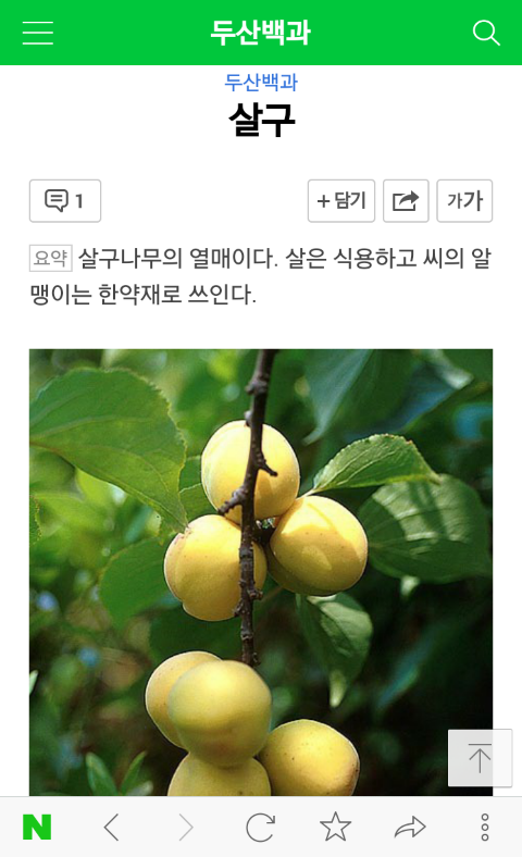 (★박공★님 궁금증) 매실 살구 자두 구별법...?