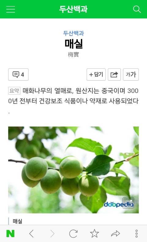 (★박공★님 궁금증) 매실 살구 자두 구별법...?