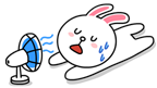 brown_and_cony-59