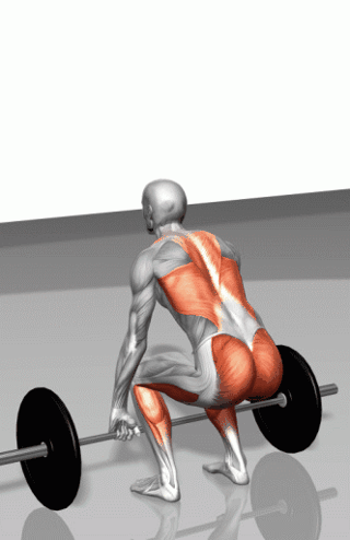 8989fecf-6115-4161-9616-d9e78547ccf1.gif