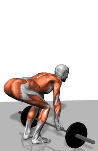 eaeb3817-f47b-4088-b5e7-63bb79cfb6d0.gif