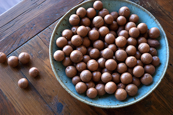 Macadamias