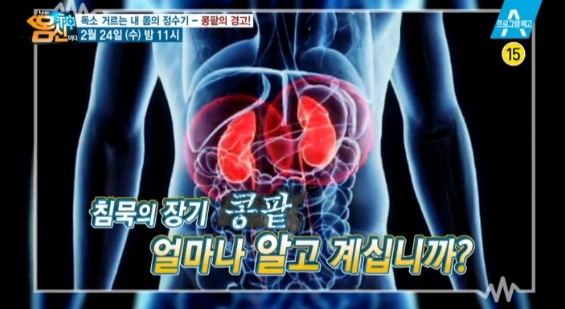 나는 몸신이다 콩팥의 경고 이미지에 대한 이미지 검색결과