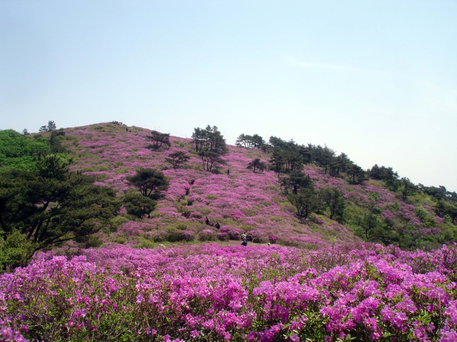 080503 장흥 제암산