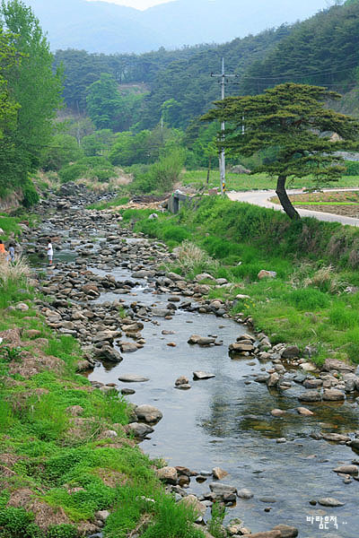 사용자 삽입 이미지