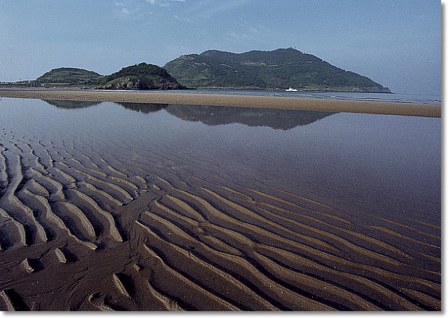 사막을 품은 섬 - 우이도
