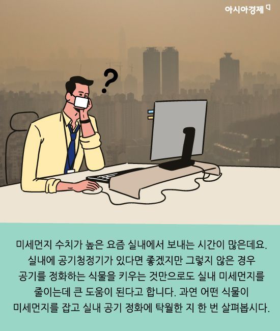 미세먼지 잡는 식물 키워보실래요?