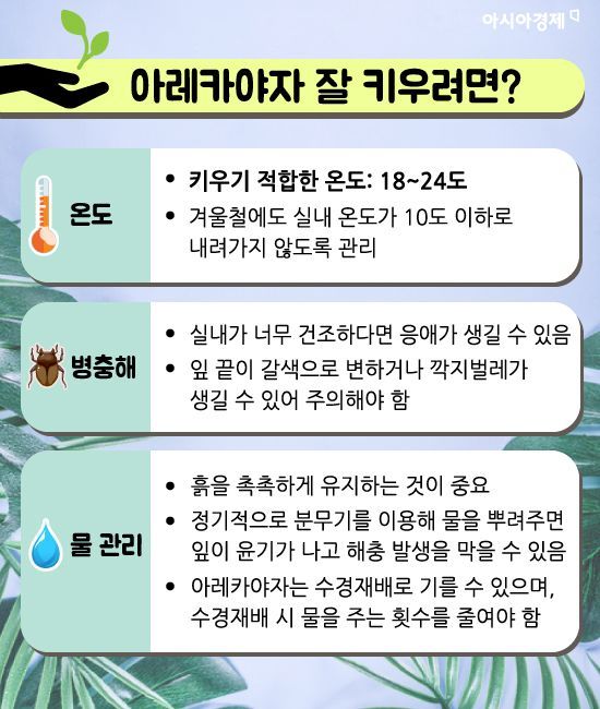 미세먼지 잡는 식물 키워보실래요?