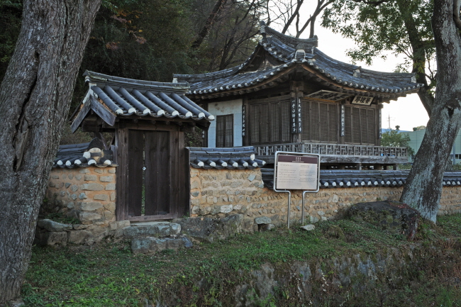 원본 크기로 보기