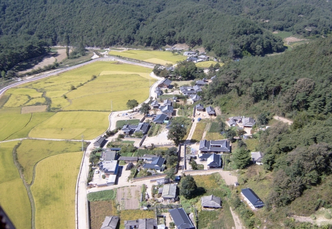 원본 크기로 보기