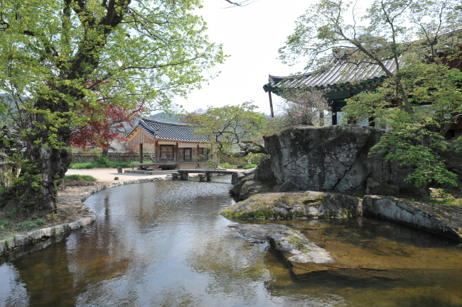 원본 크기로 보기