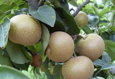 여름풍경