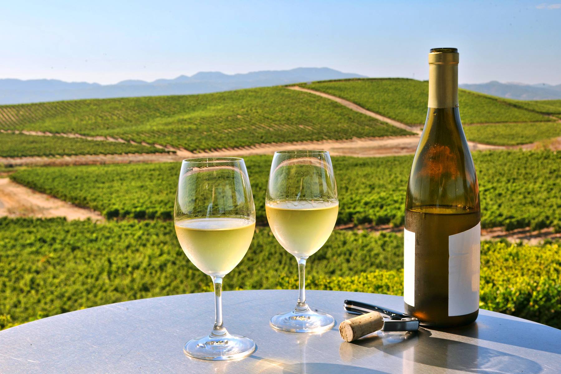 「Napa Valley」の画像検索結果