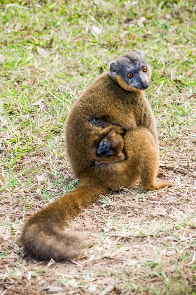 Mayotte Island FH/F4FET Tourist Attractions
