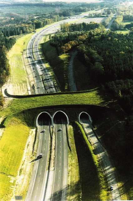 beautiful bridges