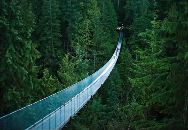 beautiful bridges