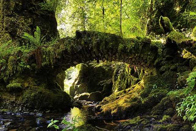 beautiful bridges