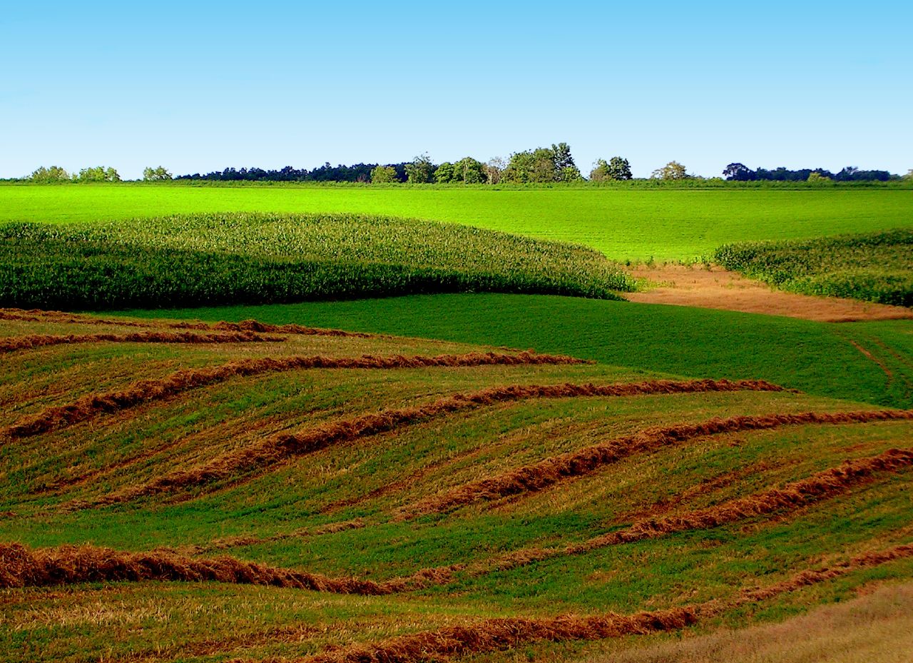 Sunlight Flows Down the Hill