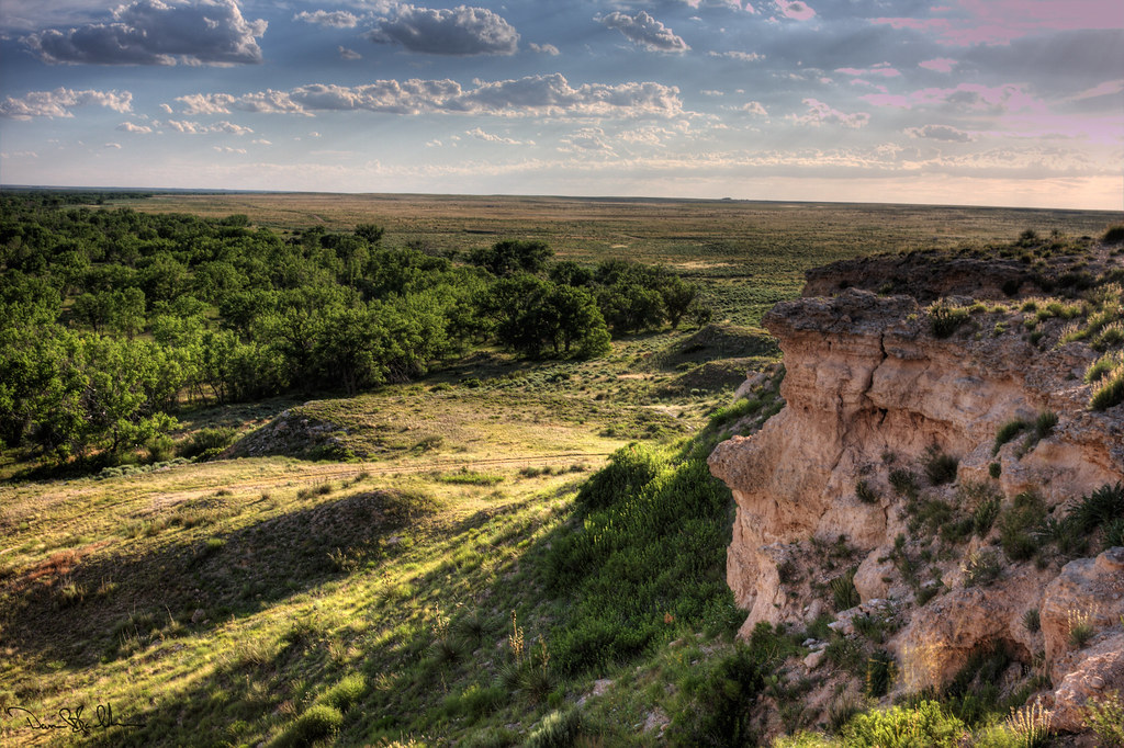 Cimarron National Grassland