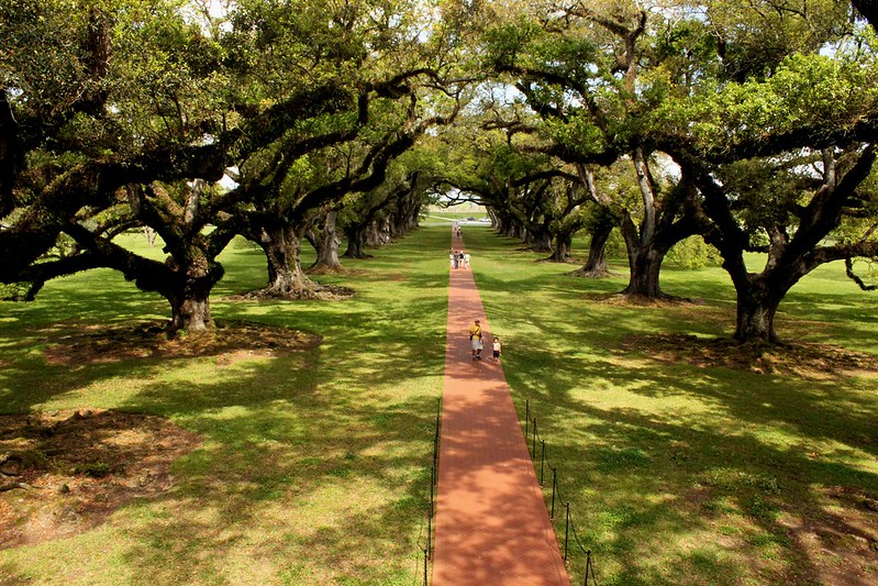 Oak Alley Plantation