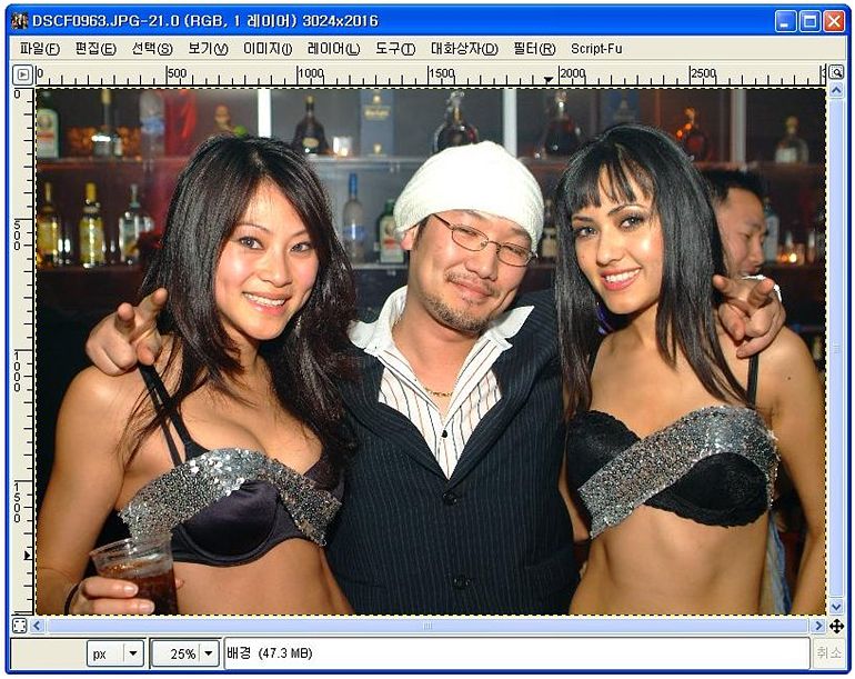gimpl1-5.jpg