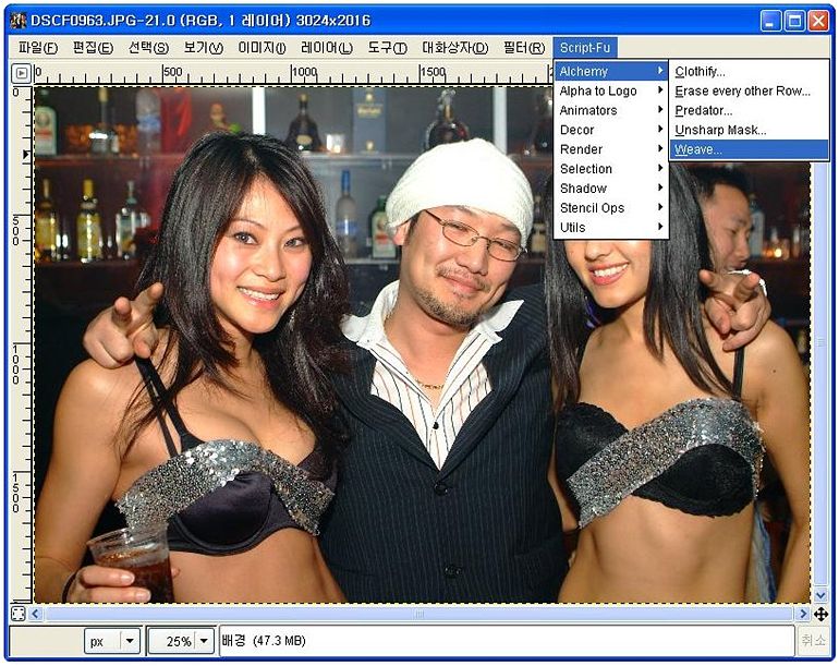 gimpl1-6.jpg