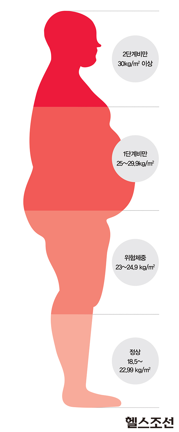 허리 둘레에 따른 질환 위험도 그래프