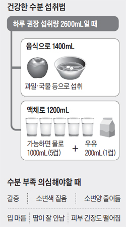 건강한 수분 섭취법