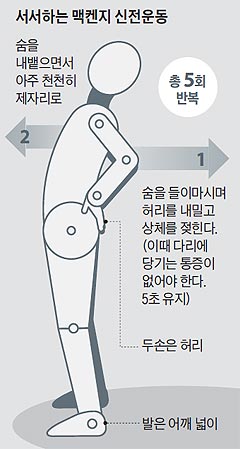 서서하는 맥켄지 신전운동