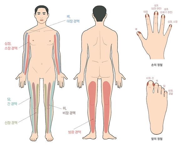 전신의 경맥과 손과 발 정혈