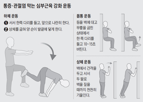 심부근육 운동 그래픽