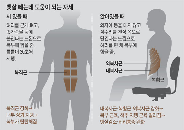 드로인 운동 설명하는 그래픽