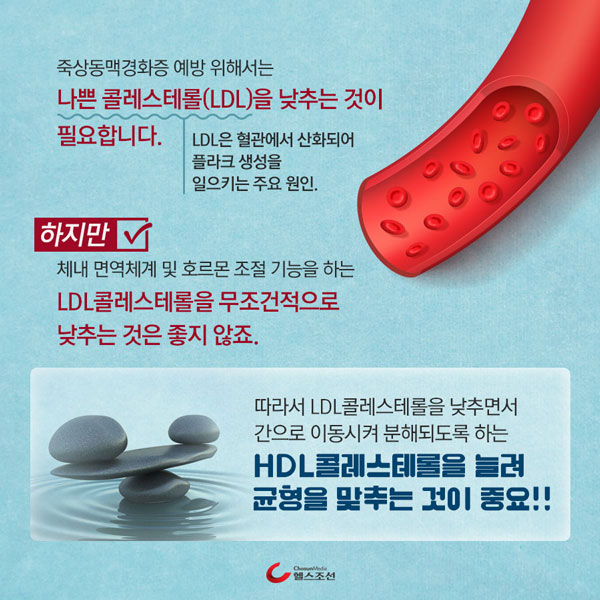 혈관 이미지