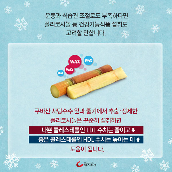 사탕수수 이미지
