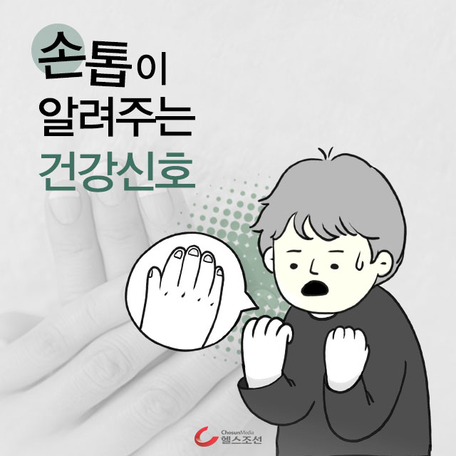 표지 이미지
