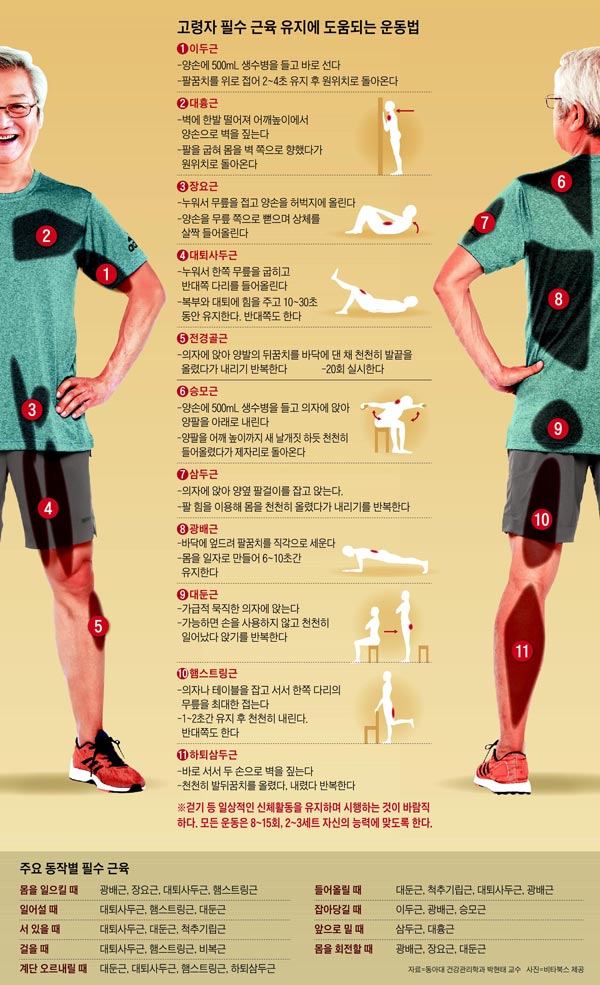 고령자 필수 근육 유지에 도움되는 운동법 외