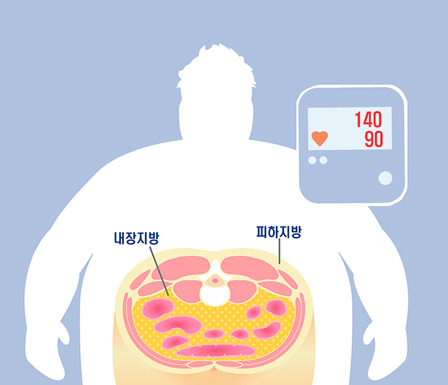 복부지방을 보여주는 그래픽